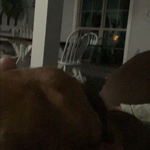 Meet your Posher, Gary